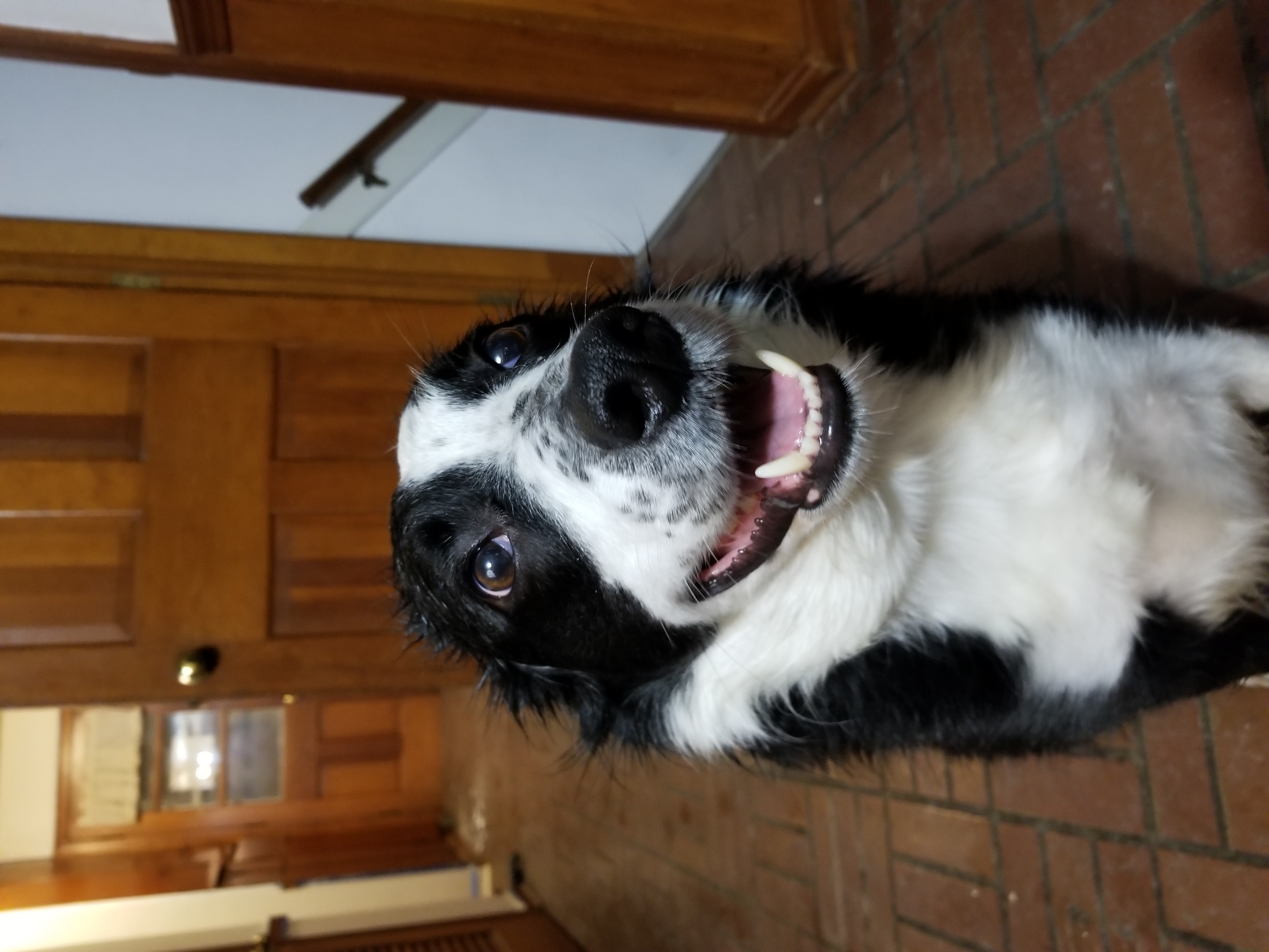 Today's Eddie image